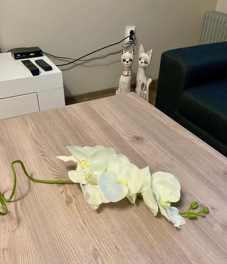,,Адела”-Апартамент За Гости فيلينغراد المظهر الخارجي الصورة